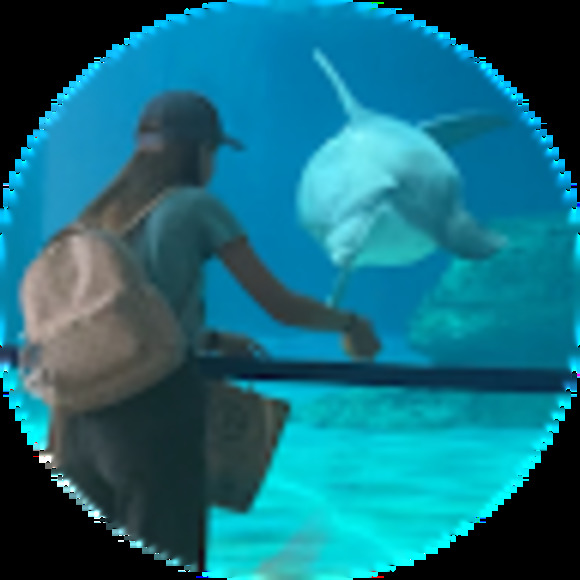 Meet your Posher, Macy - Picture 1 of 1